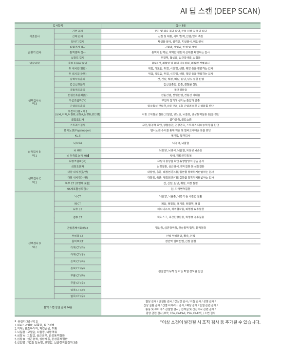 주요 검사 항목 예시