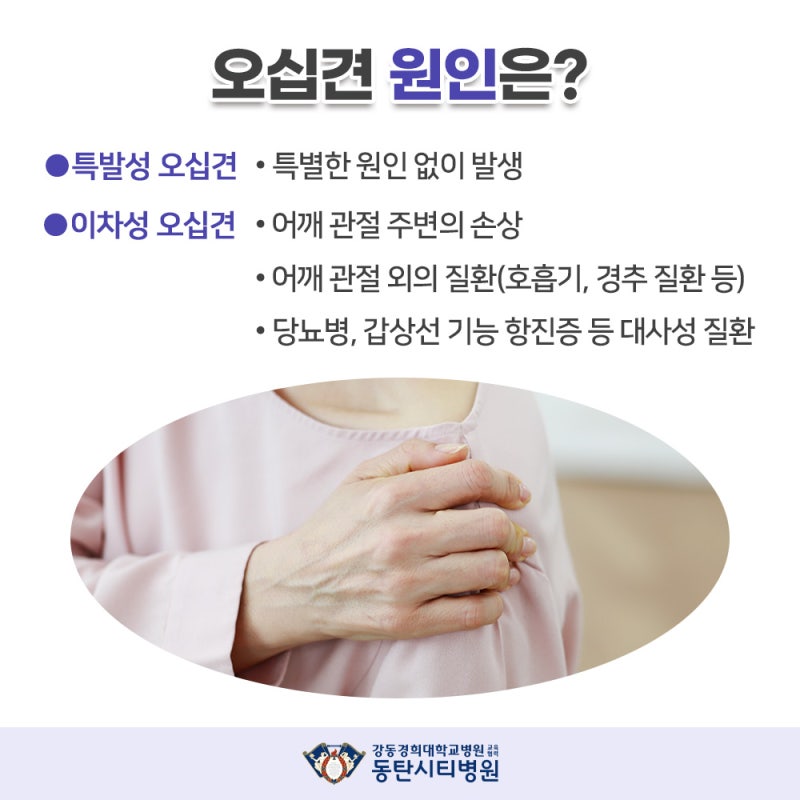 어깨 관절의 역할과 손상 위험성