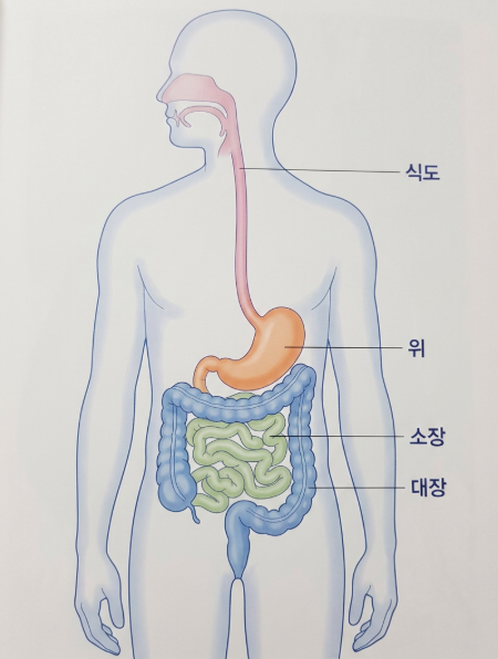 국가건강검진과 연령 기준의 이유