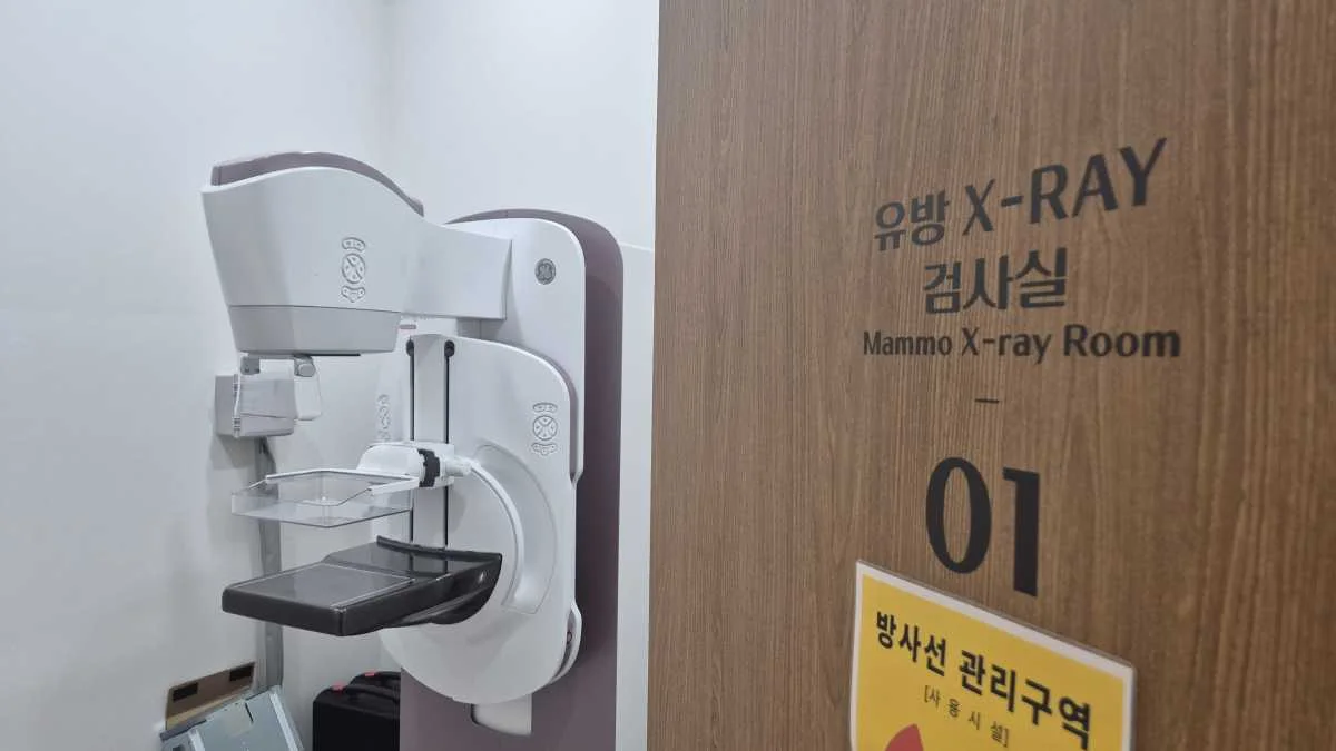 병점 십자인대재건술, 스포츠 복귀 3단계 전략 (2026년) 5 병점 십자인대재건술 스포츠 복귀|MAMMO